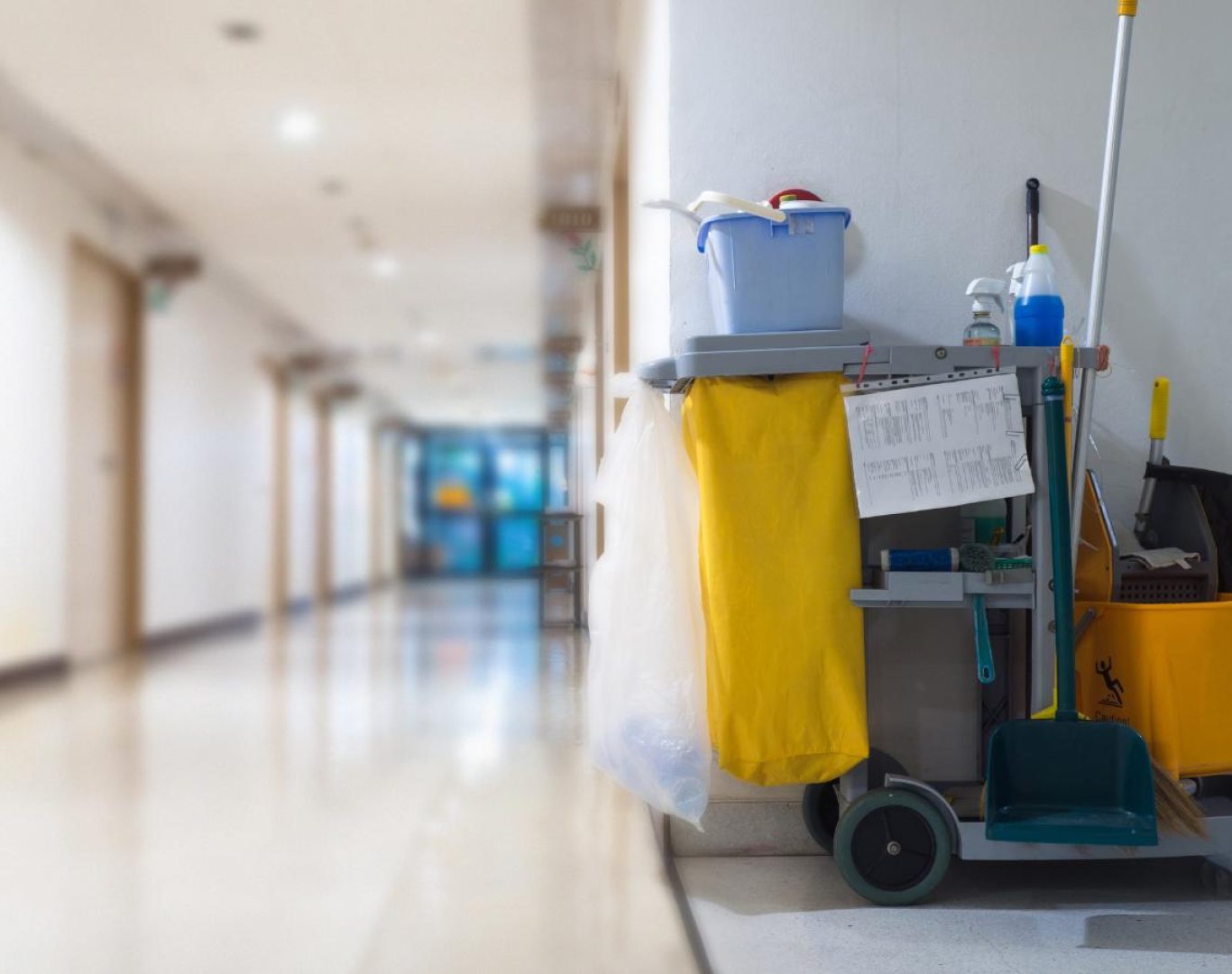 Eco-conscious cleaning near me in Oshawa, ON providing safe and thorough results