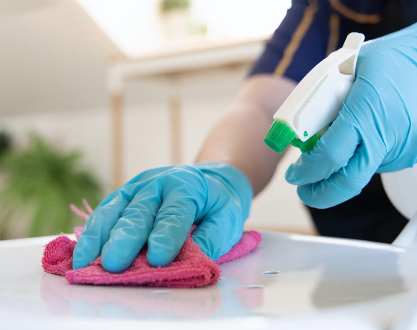 Eco-friendly deep cleaning products used in North York homes by Apex Home Cleaning