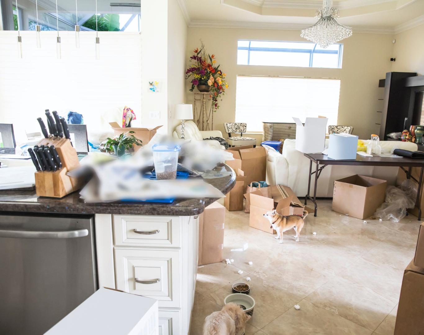 Move out cleaning in Scarborough, ON by Apex Home Cleaning for smooth property transitions