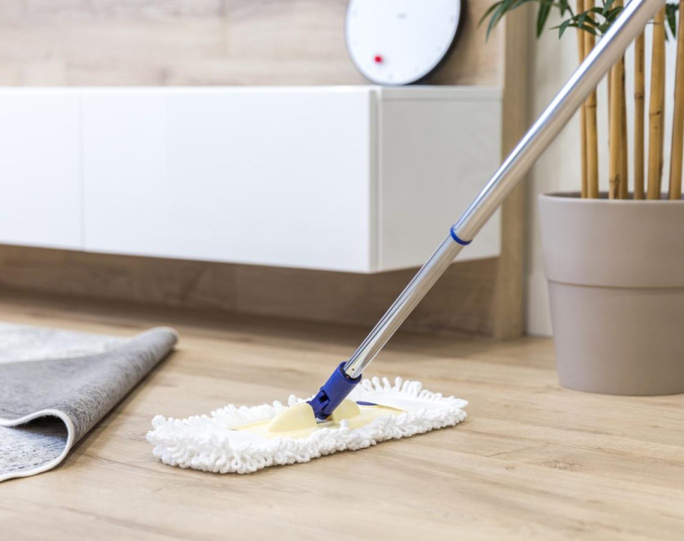 Professional house cleaning services near me in North York, ON​