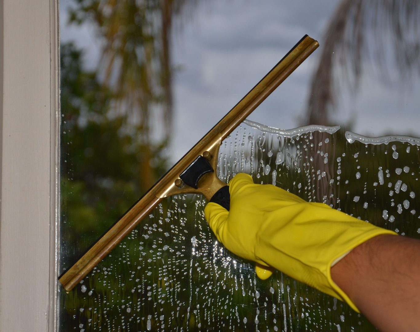 House cleaning services near me in East York, ON by Apex Home Cleaning
